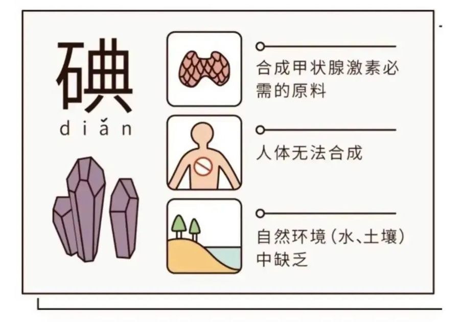 【钦中医科普】守护健康，“碘”亮生活